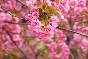 温州瓯海区1线下个人借款平台一站式服务，轻松解决资金难题