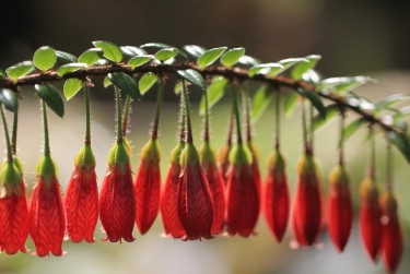 温州瓯海区1零用贷短借：轻松解决临时资金需求